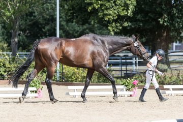 Bild 114 - Pony Akademie Turnier